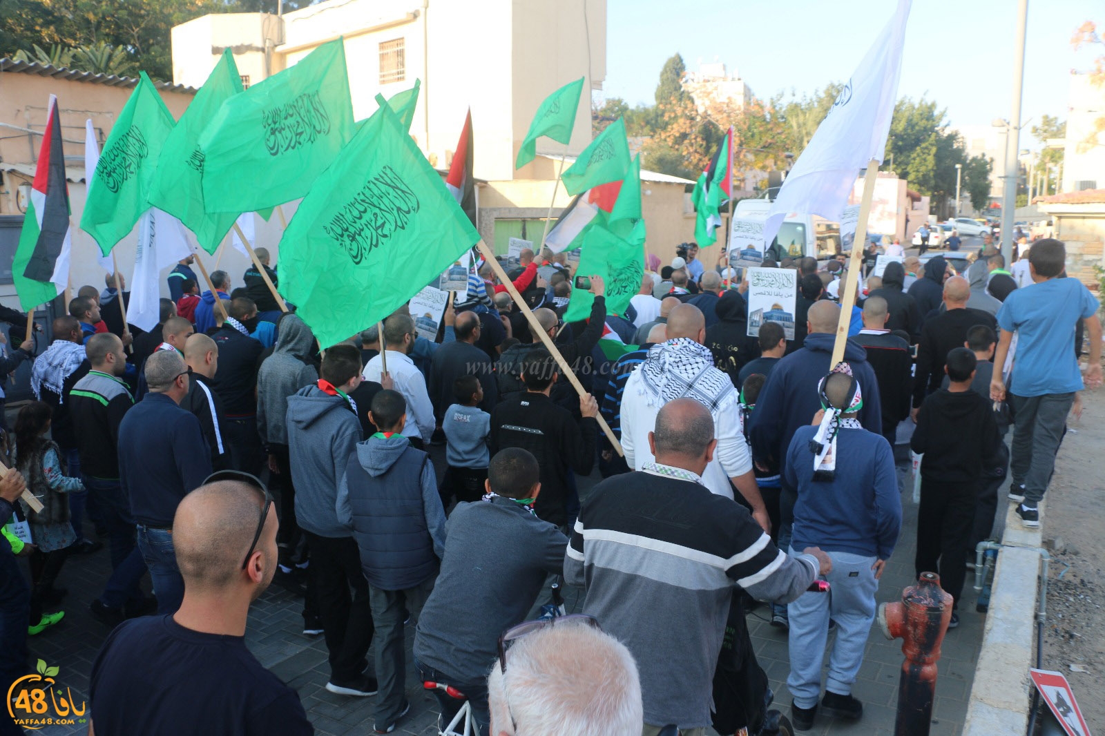 yaffa modahara jeq (22).jpg